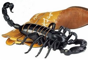 Radiocontrolledscorpion