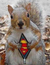 Supermansquirrel