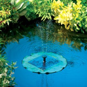 Lily Floating Solar Fountain – frogs not included