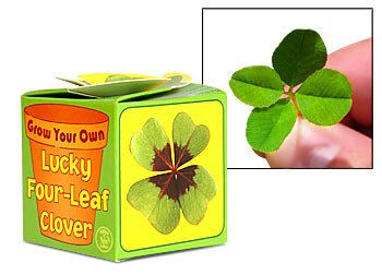 Grow Your Own Lucky Four Leaf Clover – ain’t technology grand!