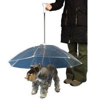 Dry Bones – dog umbrella