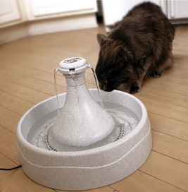 Drinkwellwaterfountainforpets