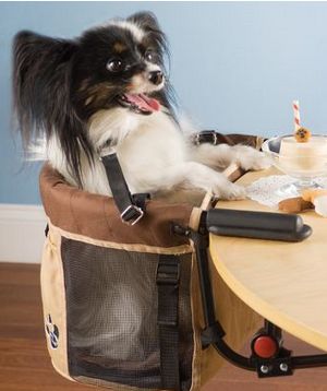 Pet High Chair – Because animals should eat at the table