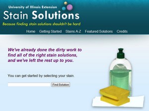 Stainsolutions