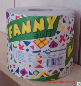 Fannysoft2