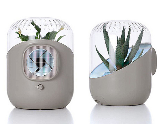 ANDREA air purifier uses a common household plant to clean your air