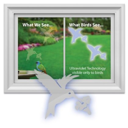 Save birds with these UV reflective decals