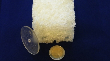 Biodegradable plastic resin to create cleaner affordable materials for construction industry