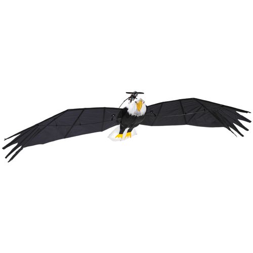 9.5-foot R/C Bald Eagle will confuse birdwatchers in your area