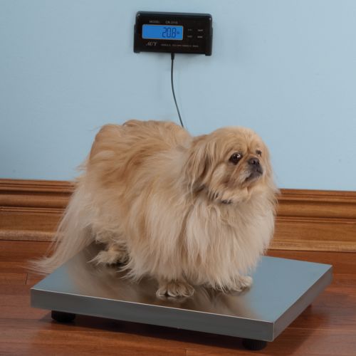 The Pet Scale is the expensive way to weigh your furry friend