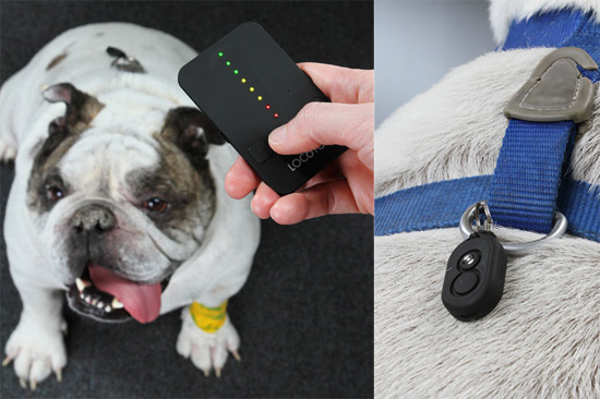 Pet Loc8tor helps you track down your lost cat or dog
