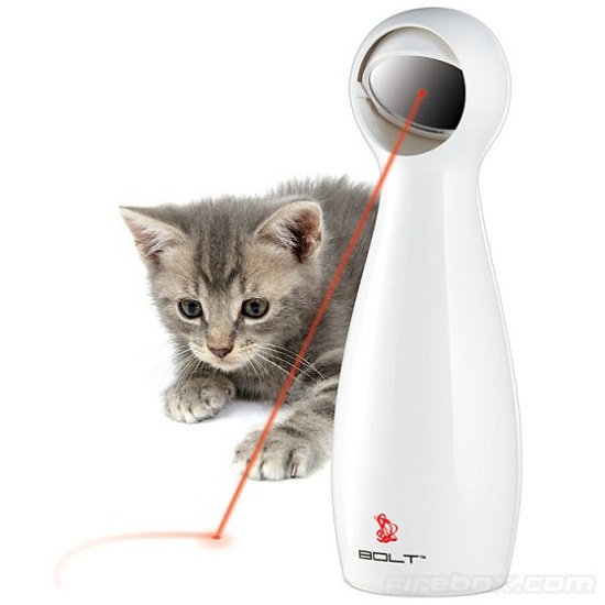 FroliCat BOLT entertains your cat so you don’t have to