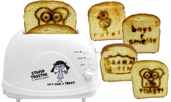 Stupid Toaster lives up to its name