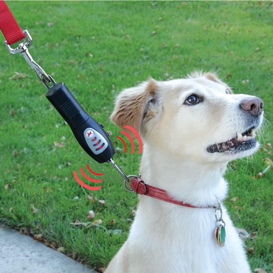Tug-Preventing Dog Trainer