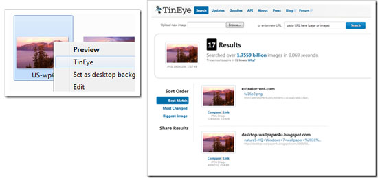 Conduct TinEye searches from your desktop