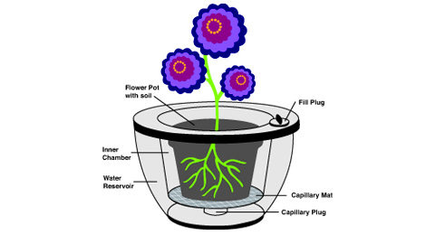 120 Day Self Watering Planter is great for the forgetful flower lover