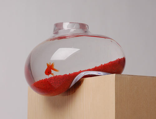 Bubble Tank Fish Bowl always looks precariously perched