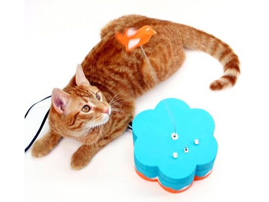 Kitty Twitty lets you talk to your cat via Twitter