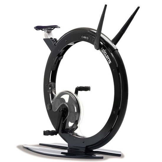 Stationary Epicycle is one overpriced workout machine