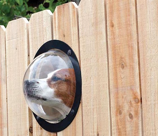 Pet Peek gives your pup a window to the world