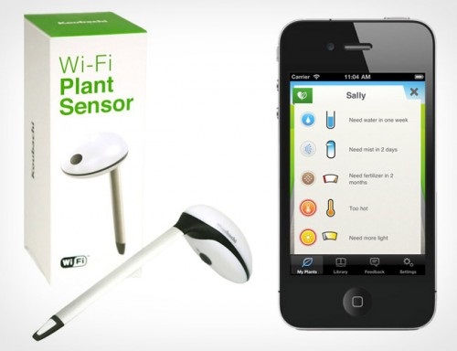 Koubachi WiFi Plant Sensor reminds you to water the plants