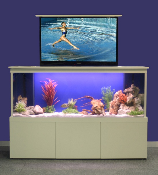 TV Tank hides your big screen with the fish