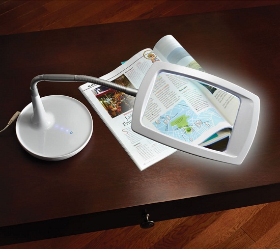 Distortion Free Magnifying Light will get you up close and personal with a book