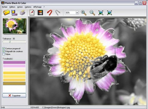 Photo Black & Color adds art to your photos [Freeware]