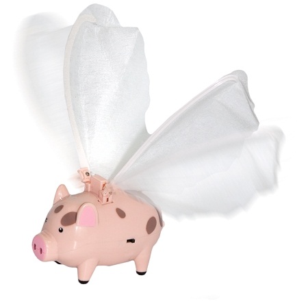 Flying Pig Toy just wants to make the impossible, possible