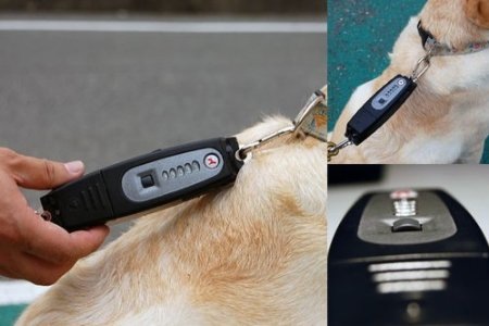 PatentoPet DOG-e-Walk teaches your pup not to get ahead of themselves