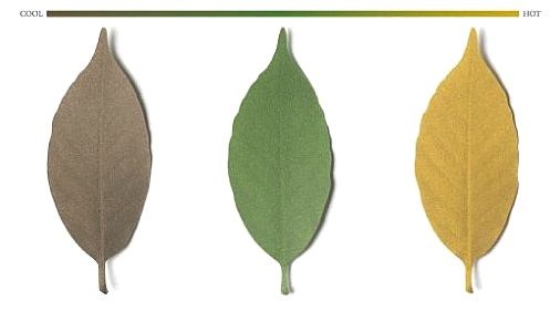 Leaf Thermometer paper will make it feel like fall year-round