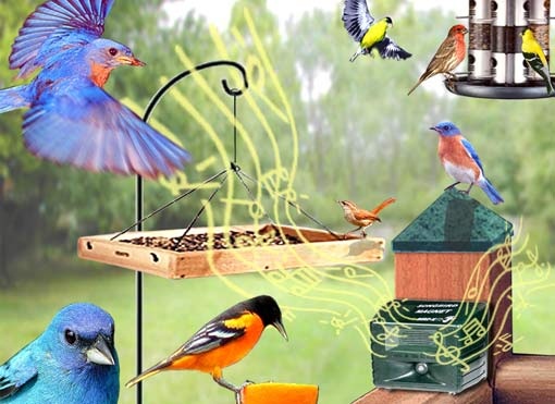 Songbird Magnet will have all the birds singing to your tune