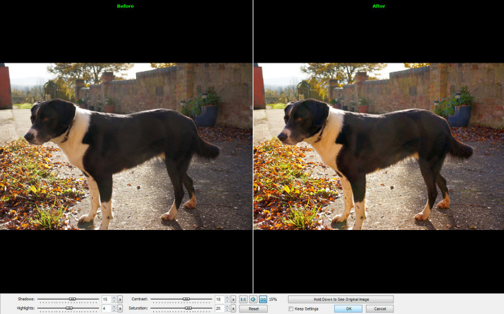 FastStone Image Viewer – the best tool for managing your photos. Period. [Freeware]