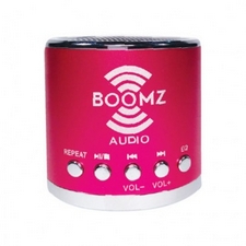Boomz Audio mini speaker