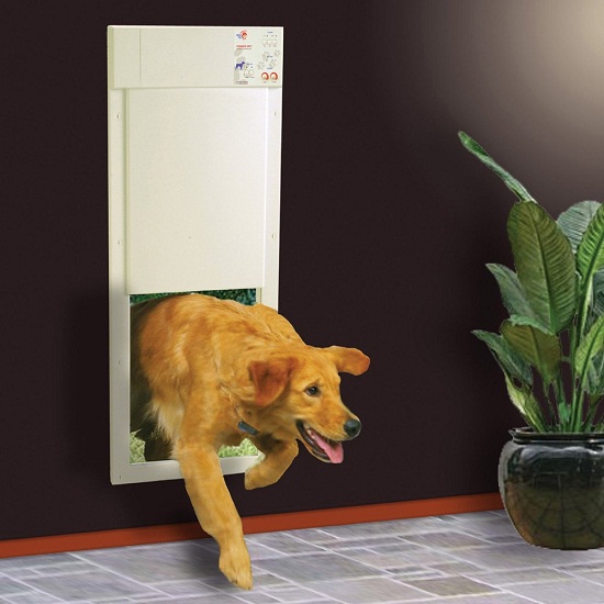 Electronic Pet Door – it’s always greener on the other side