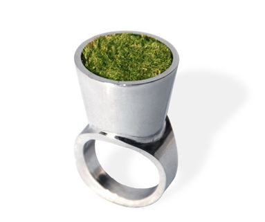 Growing Ring – tiny landscape for the concrete jungle