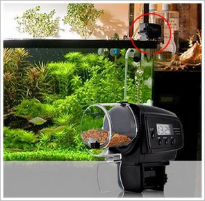 Automatic Fish Feeder – let your vacations be guilt free