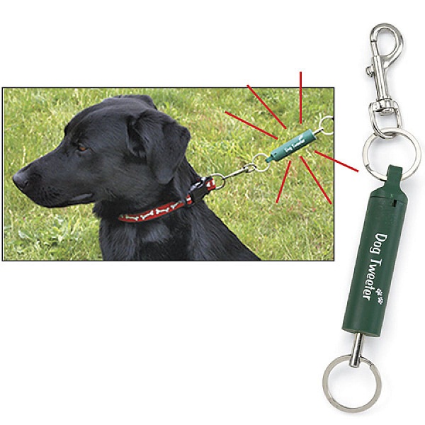 Dog Leash Trainer – enjoy your stroll without being pulled