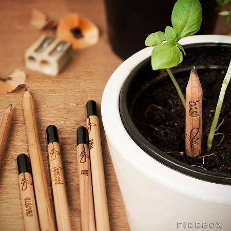 Sprout Pencils – give your writing some renewable energy, literally