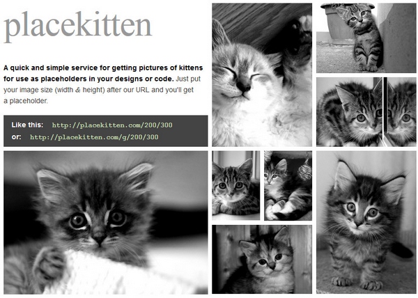 Placekitten – unimaginable amounts of cuteness as free placeholders for your web designs