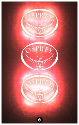 ospreycyberport4