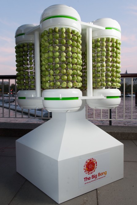 Brussels-sprouts battery