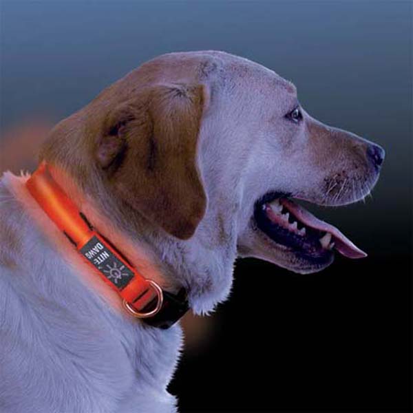 NightDawg Dog Collar