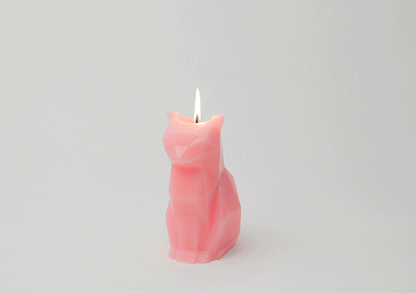 PyroPet – No bones about it. This is a freaky candle.