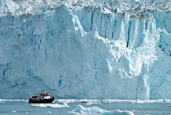 Iceberg Harvesting – from scams to innovation