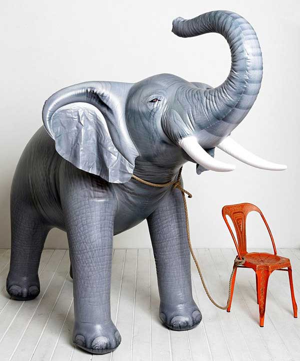 Oversized Inflatable Elephant – Don’t try to ignore the elephant in the room