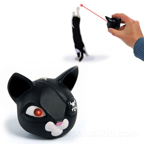 Space Pirate Kitty Laser – Can you imagine the craziness if kitty had two laser-shooting eyes?