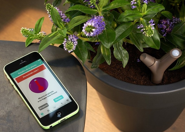 Parrot Flower Power – digital green fingers will suddenly make you an expert gardener