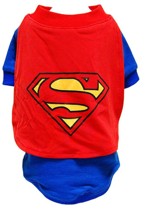 Cat Superman Costume – photoshop this item, because that’s the closest you’ll get to your cat wearing it