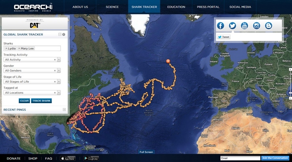 Ocearch – amazing open source great white shark tracking for conservation research…v cool